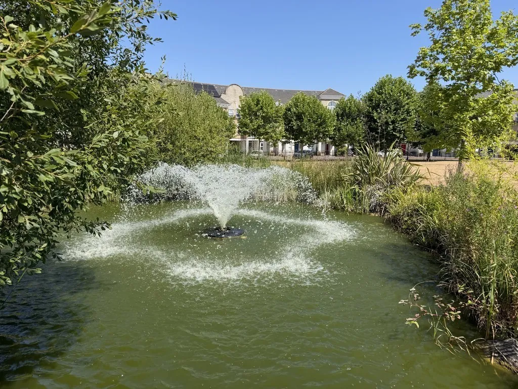 Dettingen Crescent, Deepcut, photo 10