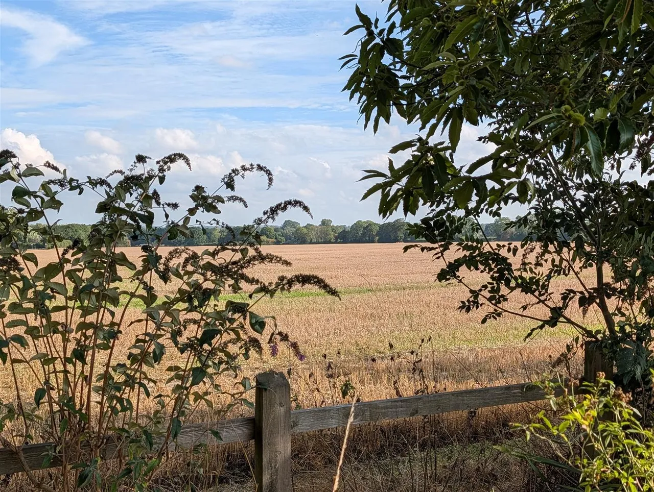Church Road, Aslacton, NR15, photo 15