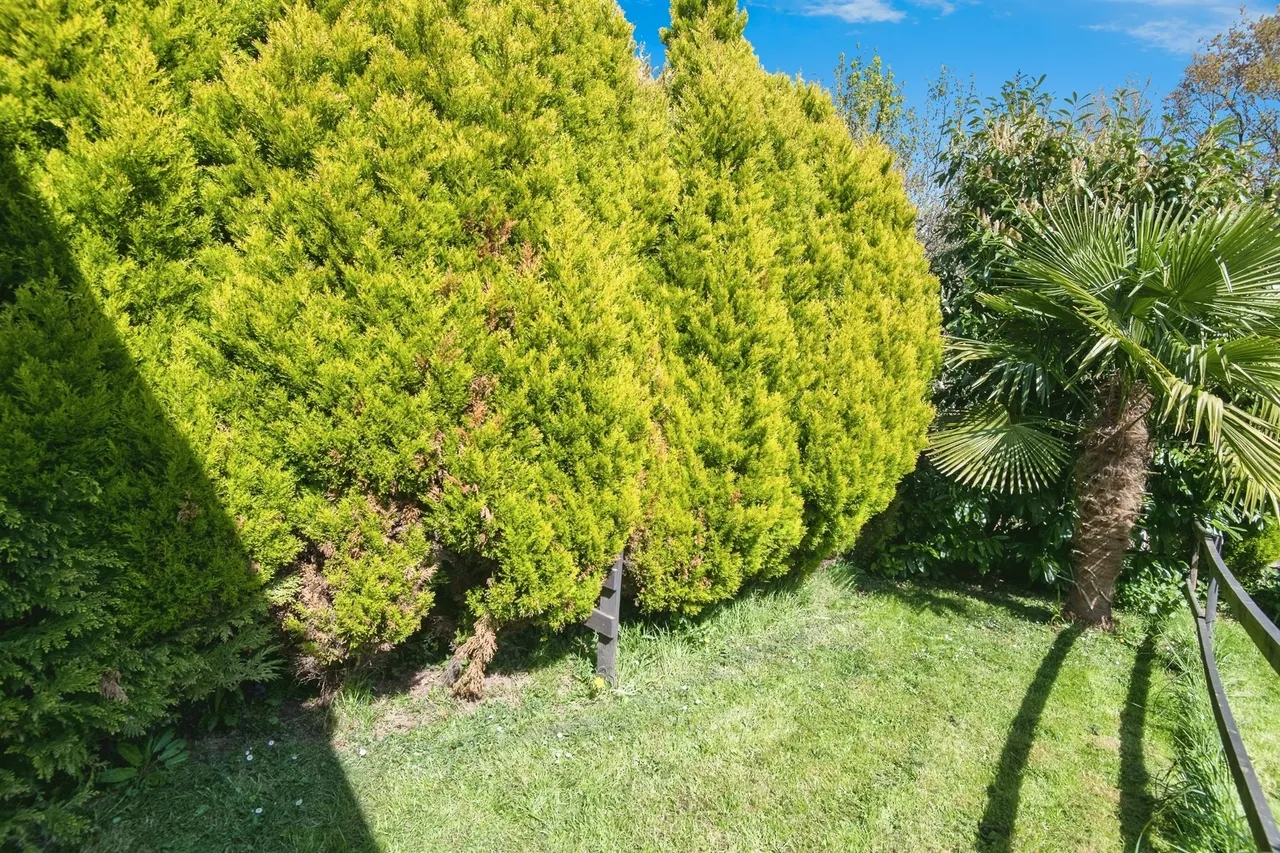 Maidendown Caravan Park, Burlescombe, EX16, photo 5