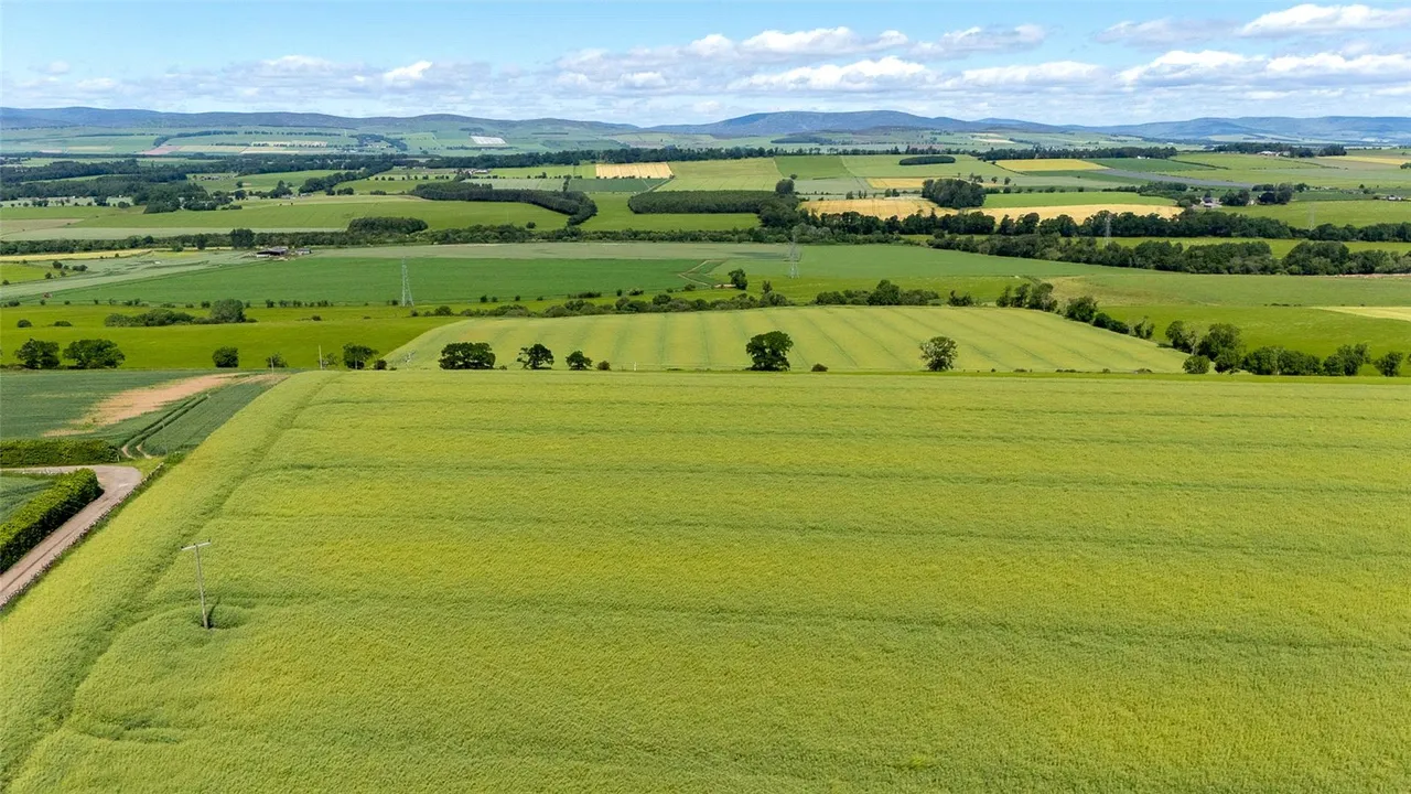 Lot 1 - Balnacake Farm, Brechin, Angus, DD9 6SL, photo 18