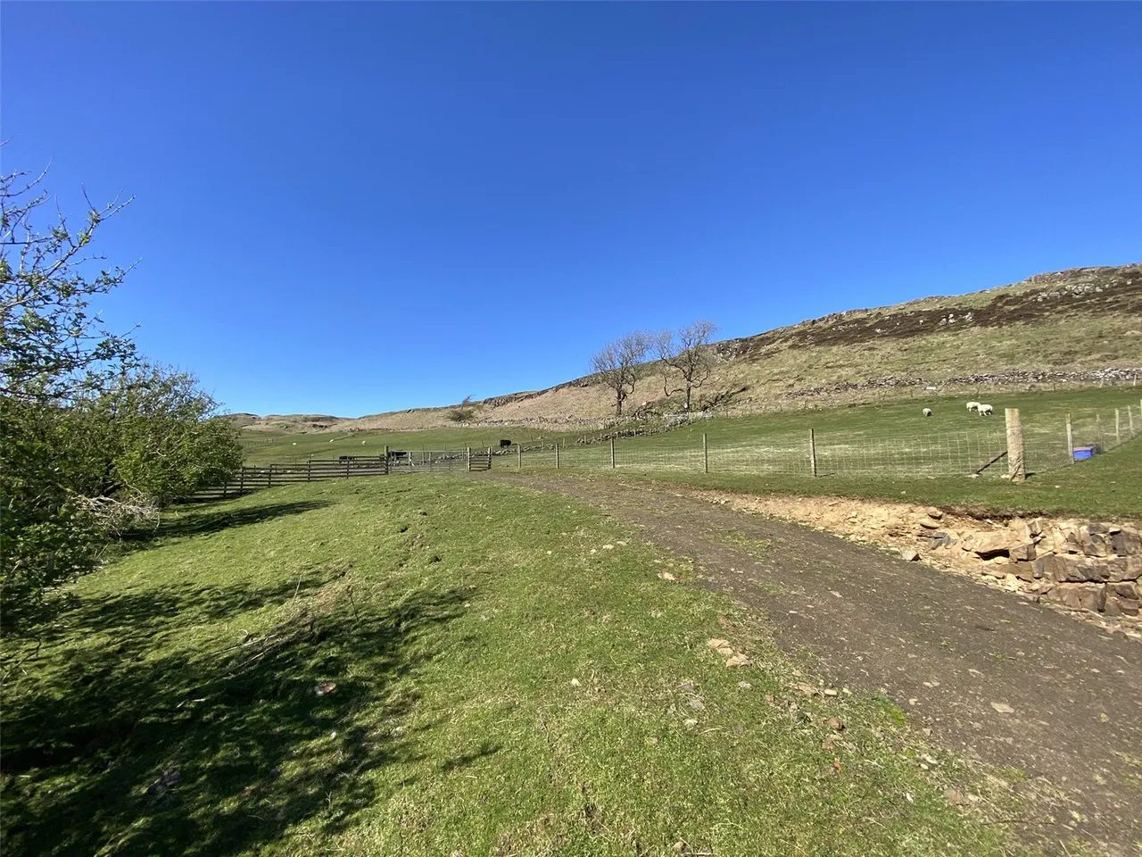 Land North East Of Erray Cottage, Tobermory, Isle Of Mull, PA75 6PS, photo 5