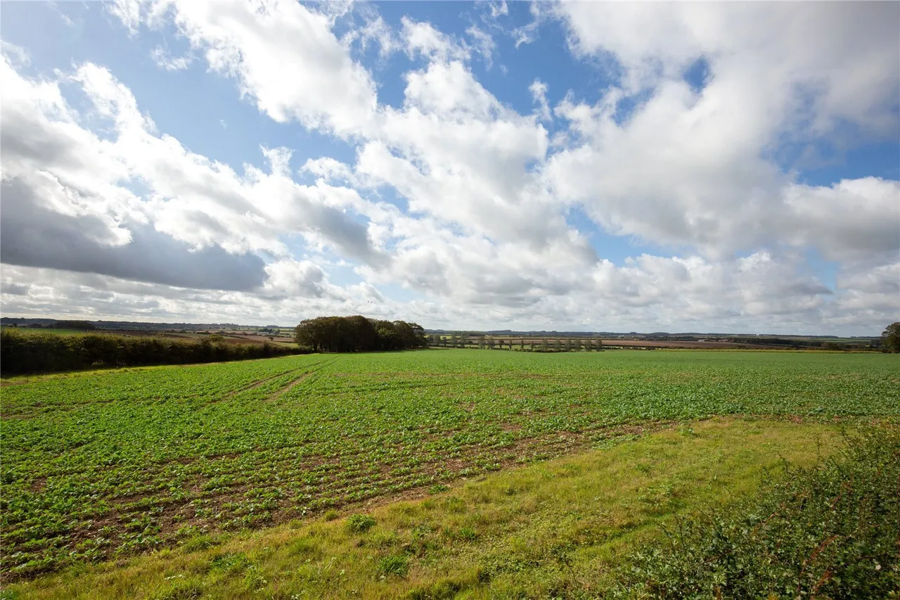 Wighton Road, Stiffkey, NR23, photo 30