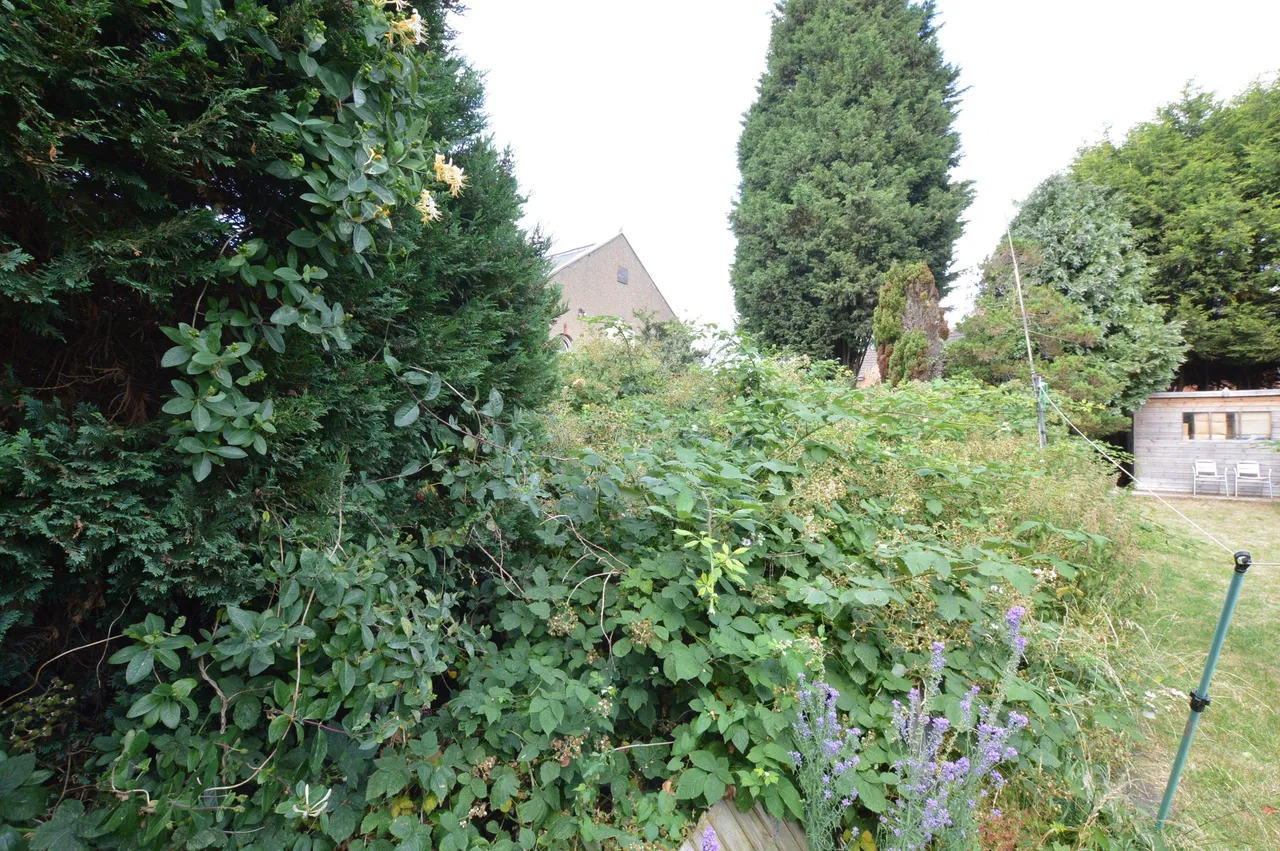 Charnwood Road, Shepshed, LE12, photo 13