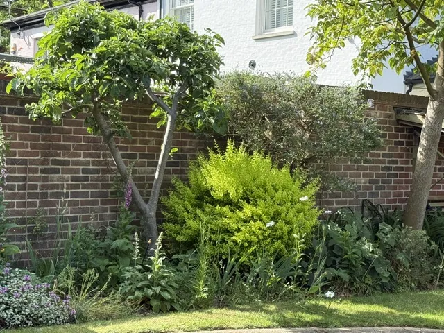 Bracondale, Norwich, NR1, photo 19