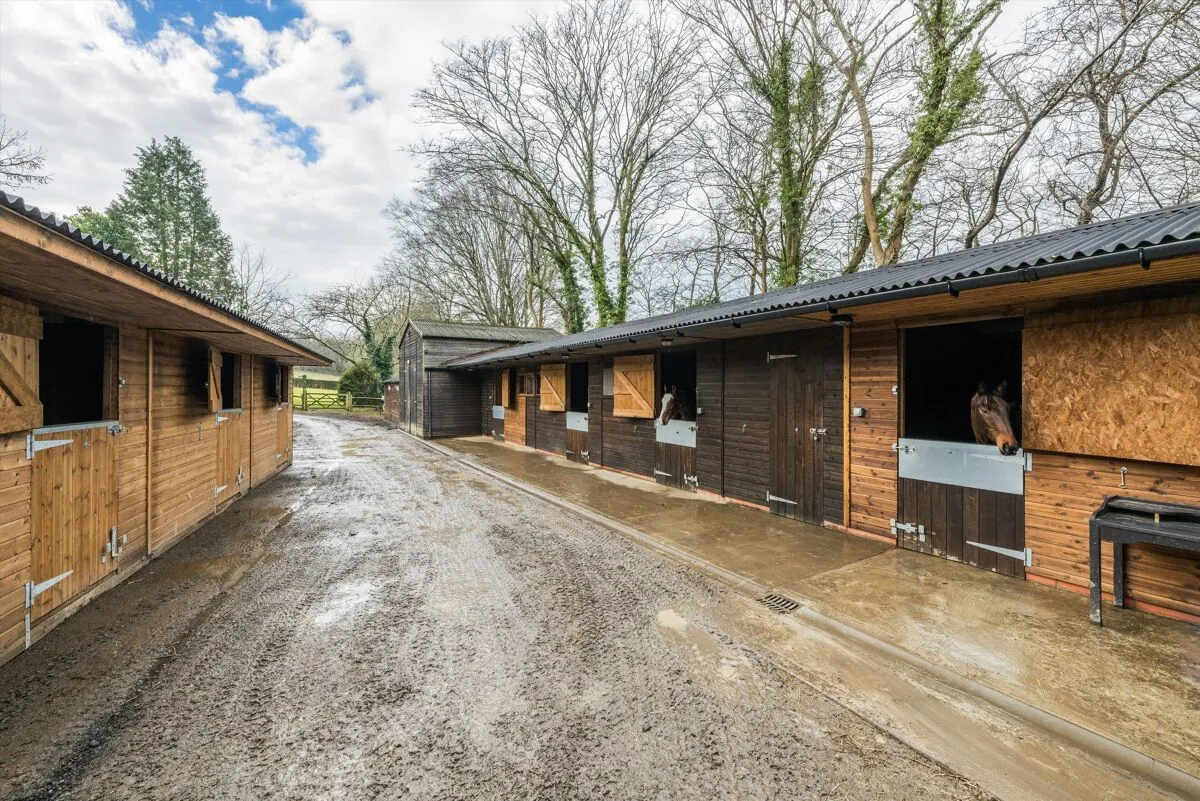 Brightling Road, Robertsbridge, TN32, photo 5