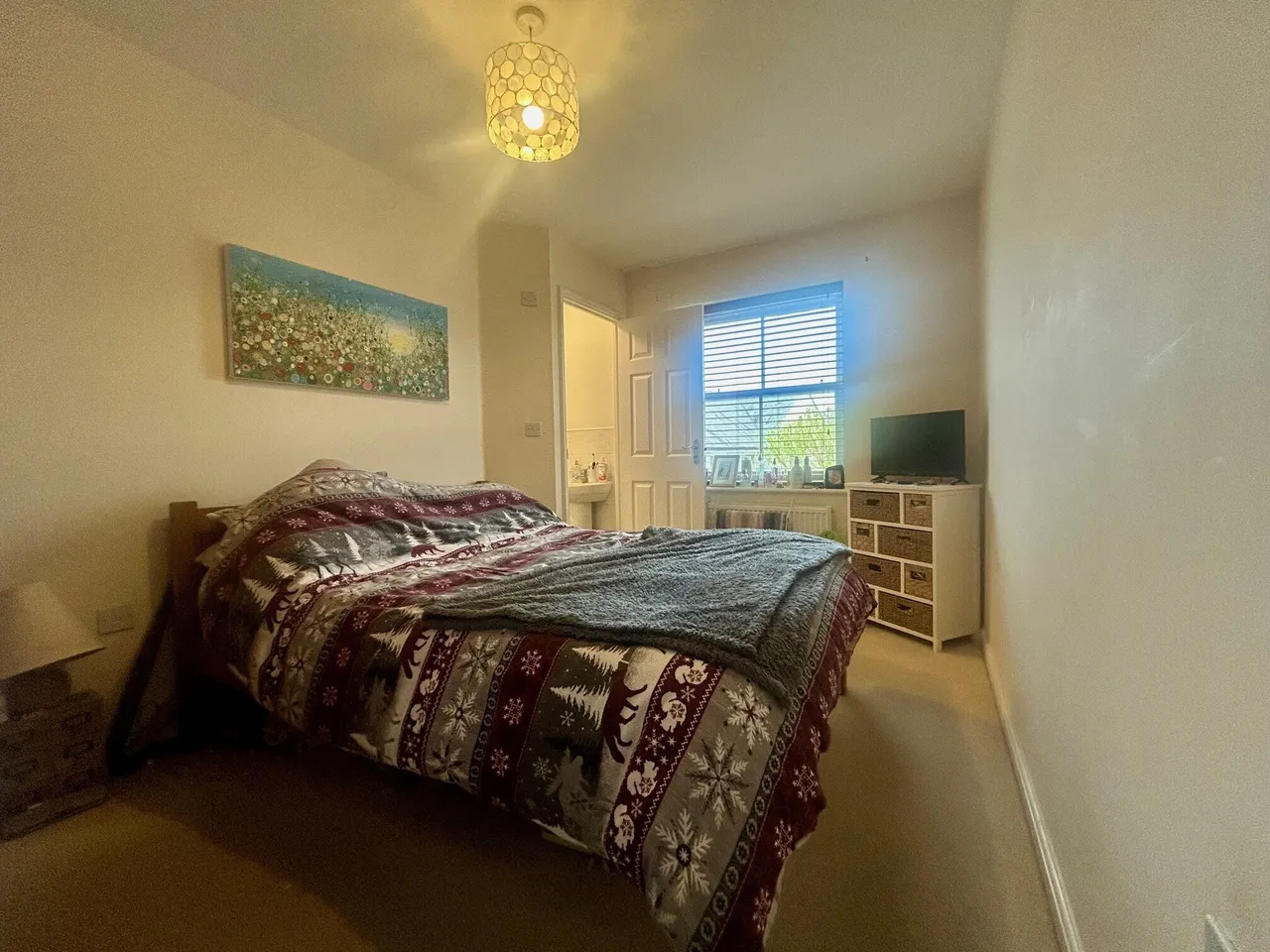 Carrolls Way, PLYMOUTH, photo 6