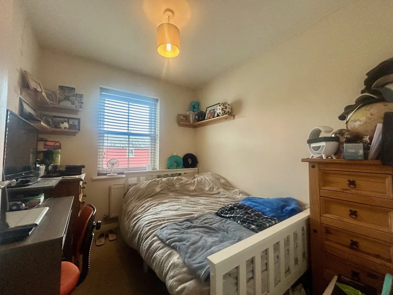 Carrolls Way, PLYMOUTH, photo 7