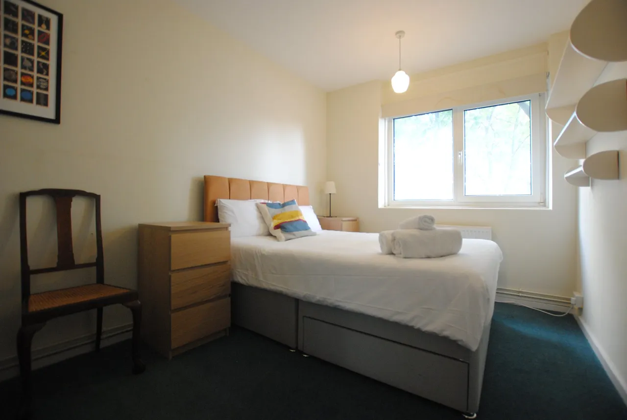 Binfield Road, Stockwell, SW4 6TF, photo 5