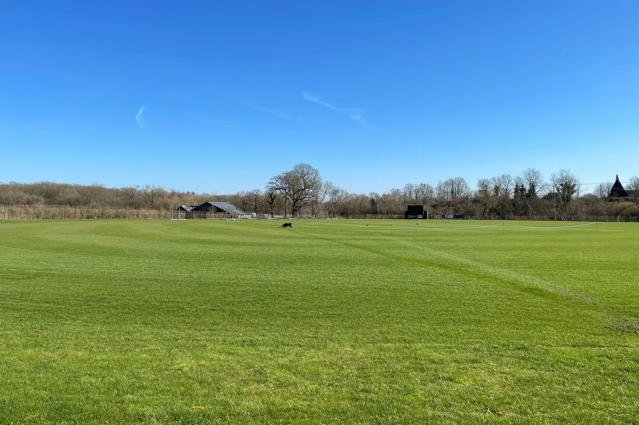 Church Green, Marden, photo 52