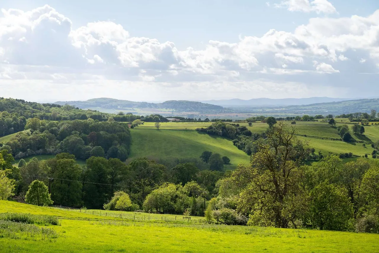 Rookery Farm, Middle Hill, Broadway, Worcestershire, WR12 7LA, photo 3