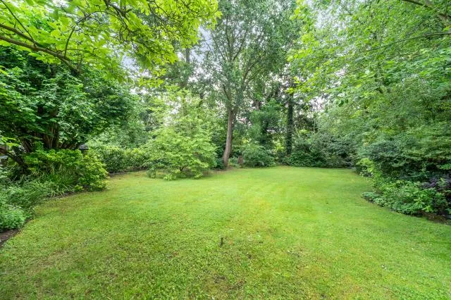 Tree Tops Avenue, Camberley, GU15, photo 16