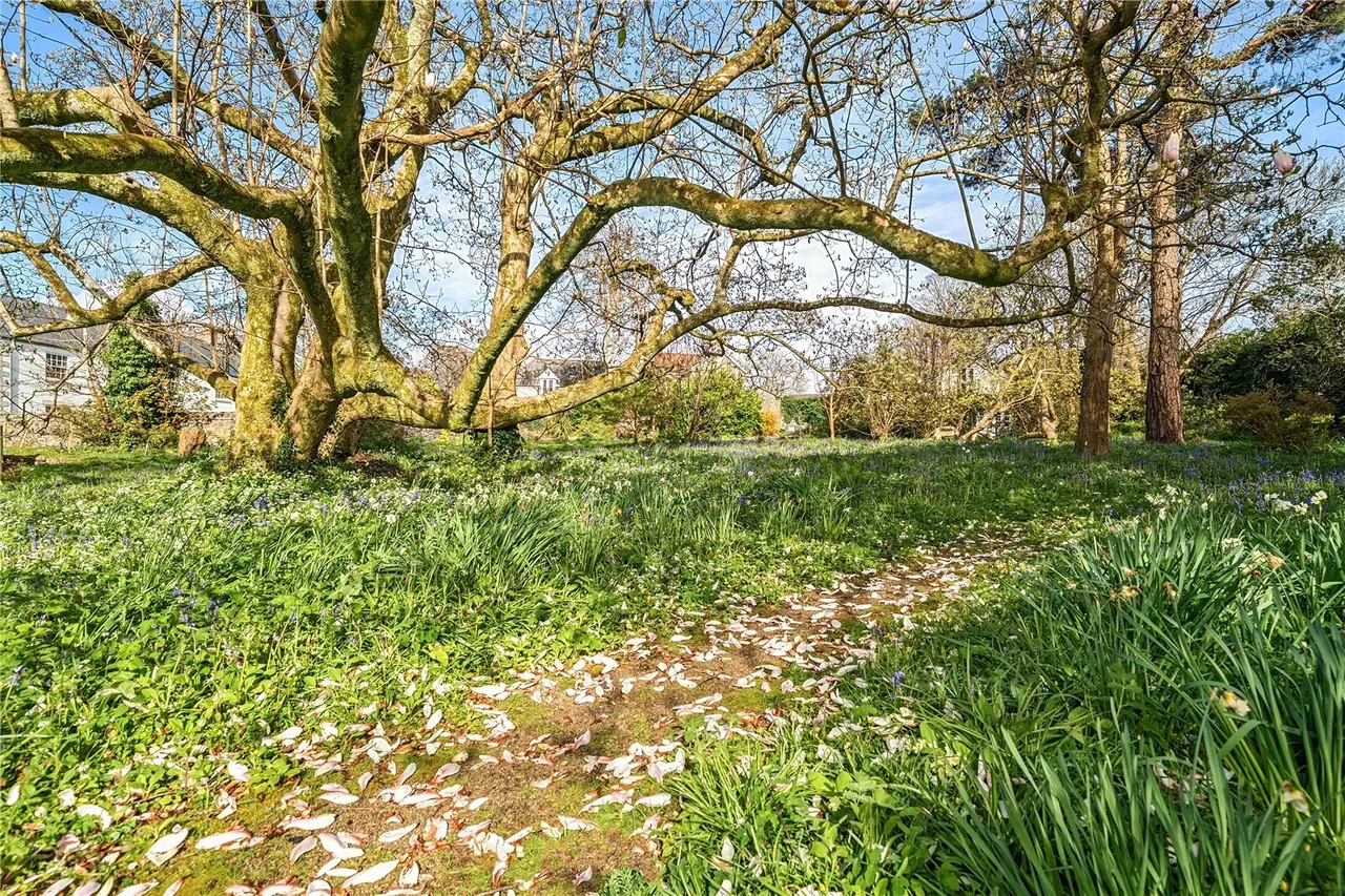 Holman Park, Camborne, TR14, photo 9