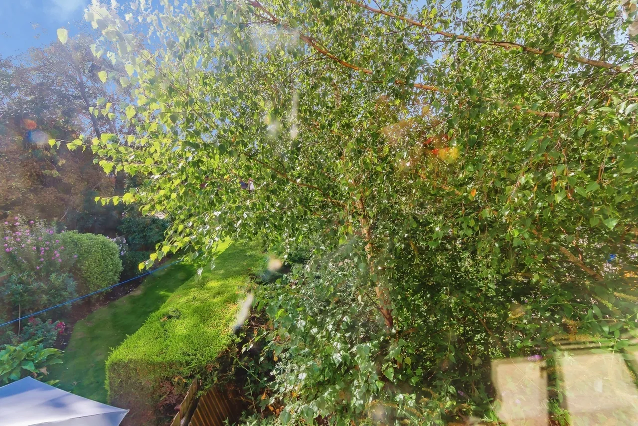 Ash Tree Way, Croydon, CR0, photo 5