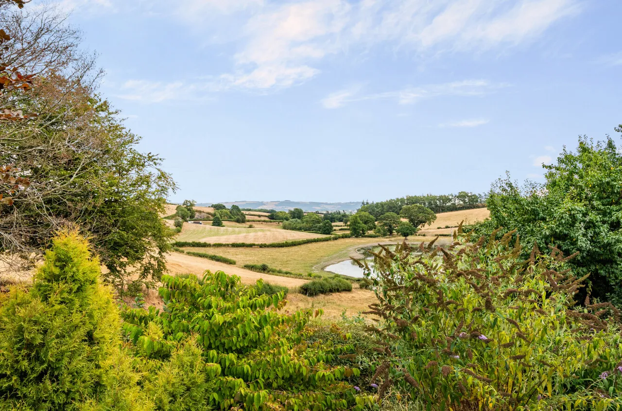 Pentrebeirdd, Guilsfield, photo 20