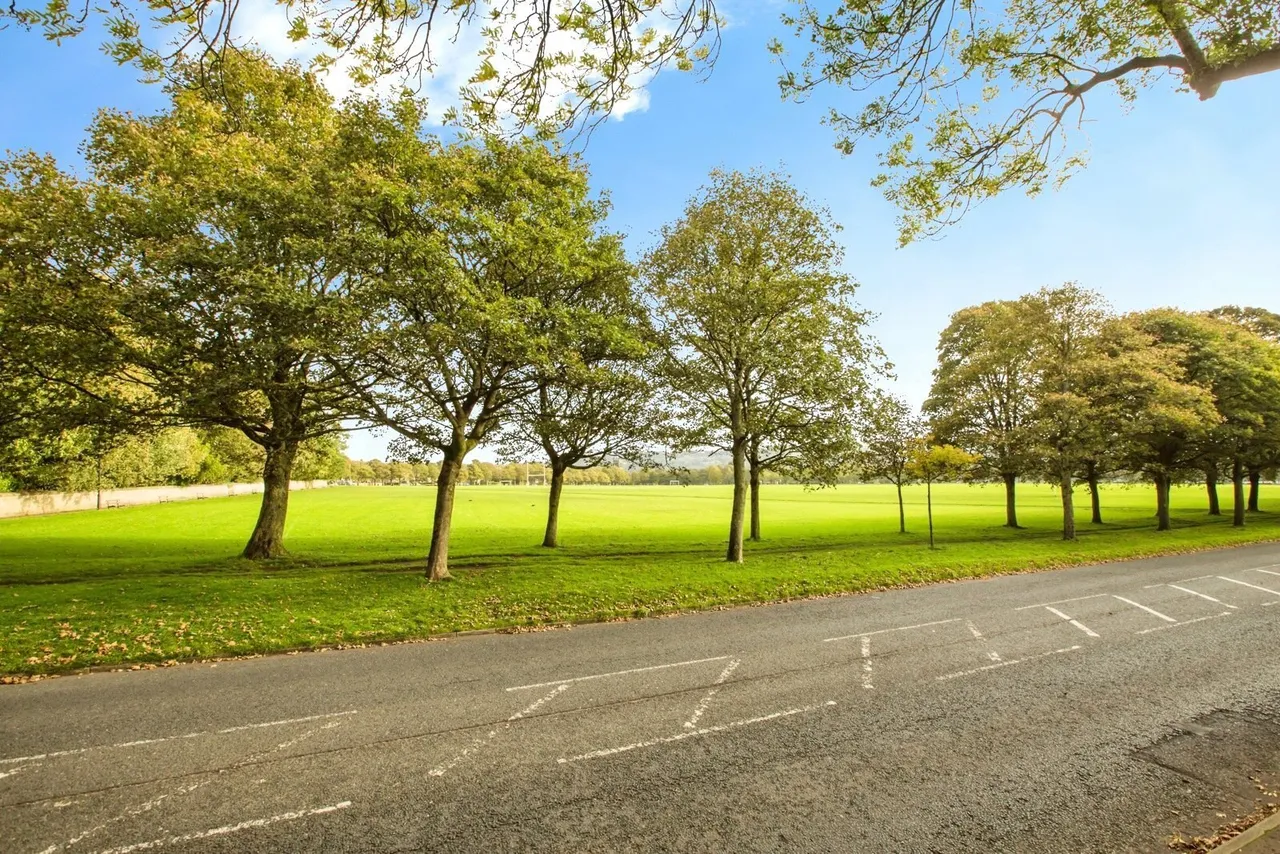 Albert Promenade, Halifax, West Yorkshire, HX3, photo 20