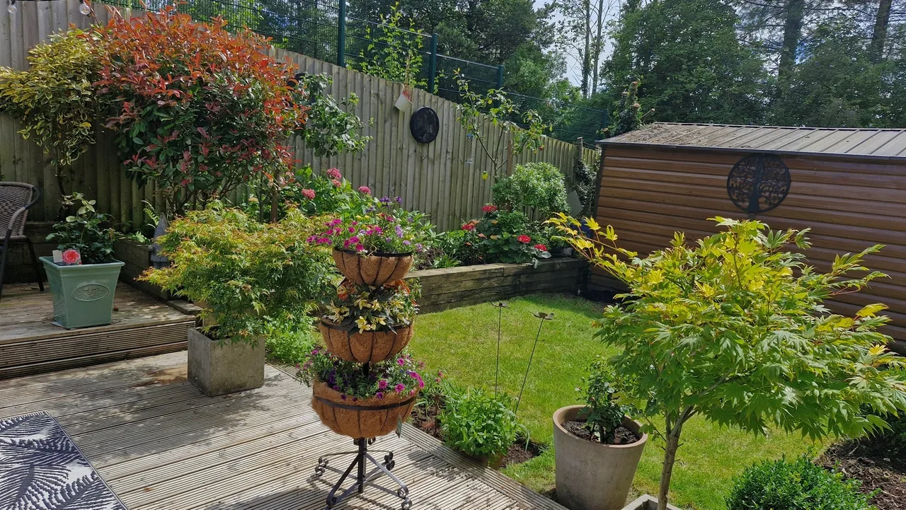 Clos Leland Pontyclun, CF72, photo 30