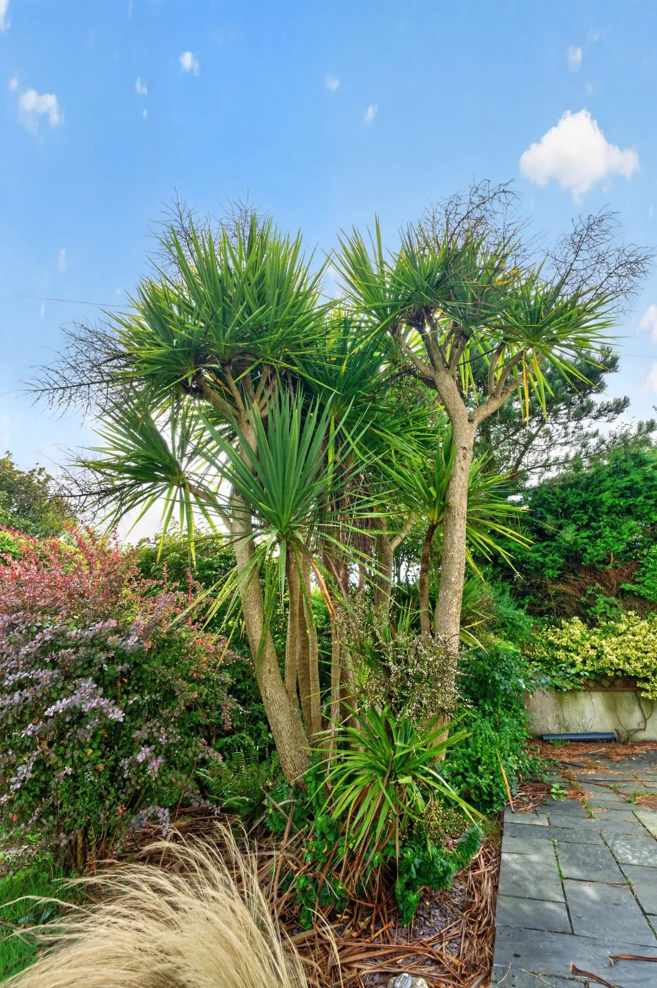 Llanwnda, Goodwick, SA64, photo 77