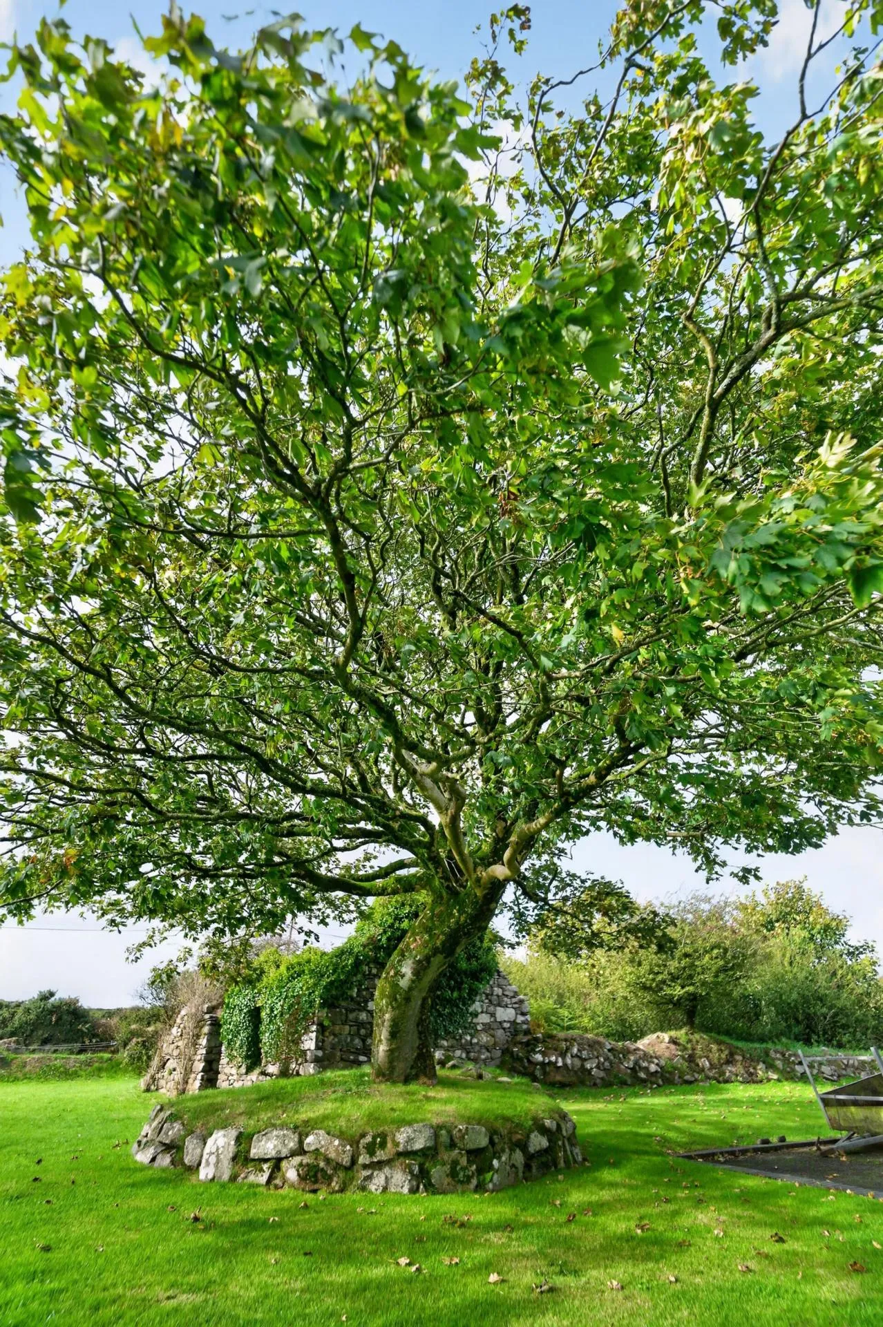 Llanwnda, Goodwick, SA64, photo 78
