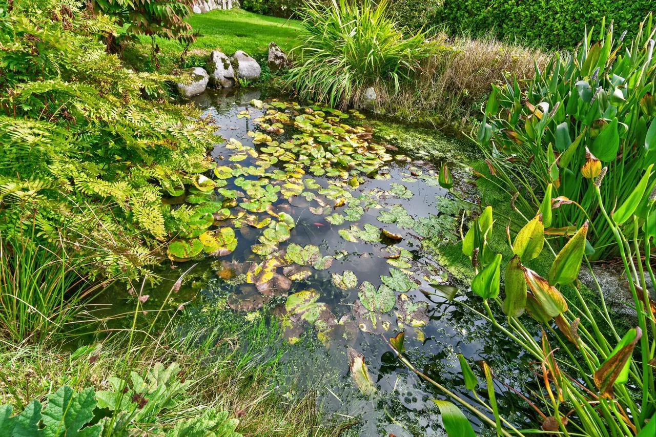 Llanwnda, Goodwick, SA64, photo 69