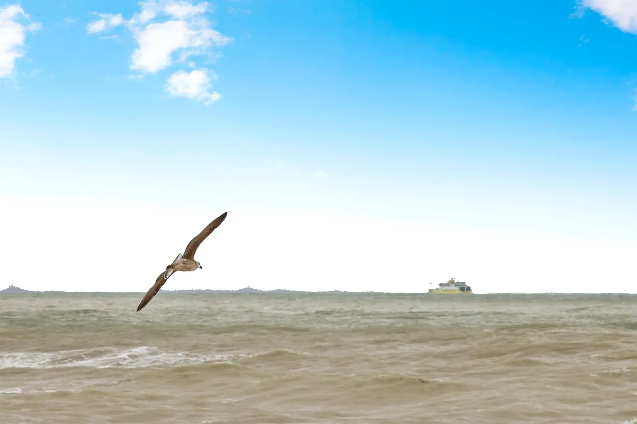 Esplanade, Seaford, BN25, photo 9