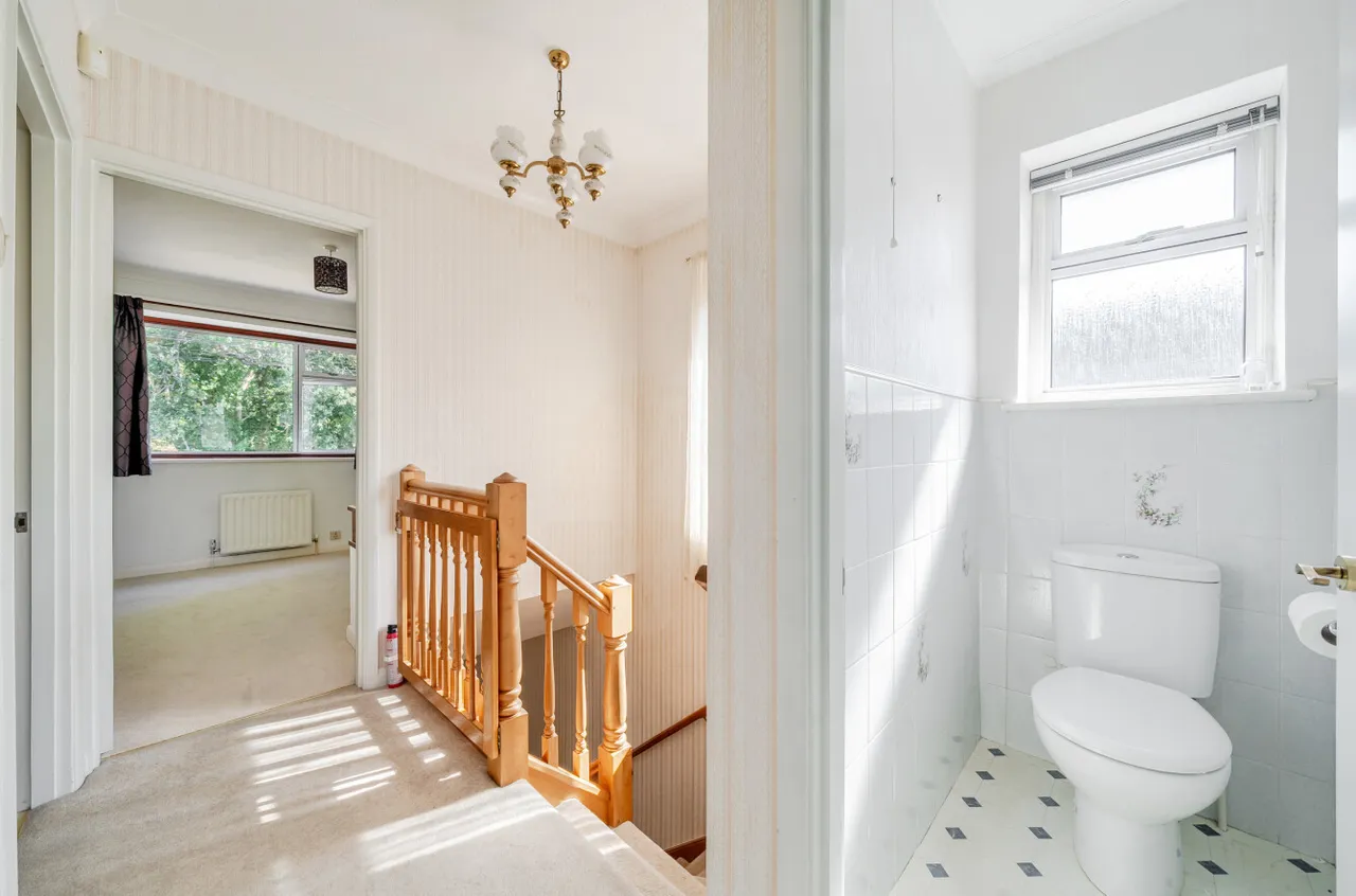 Oxted Green, Milford, GU8, photo 11