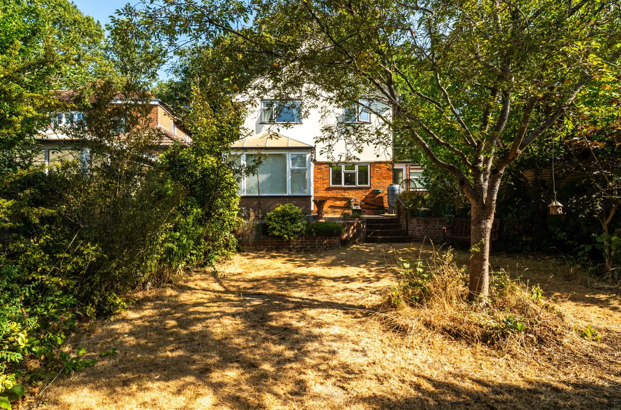Oxted Green, Milford, GU8, photo 4