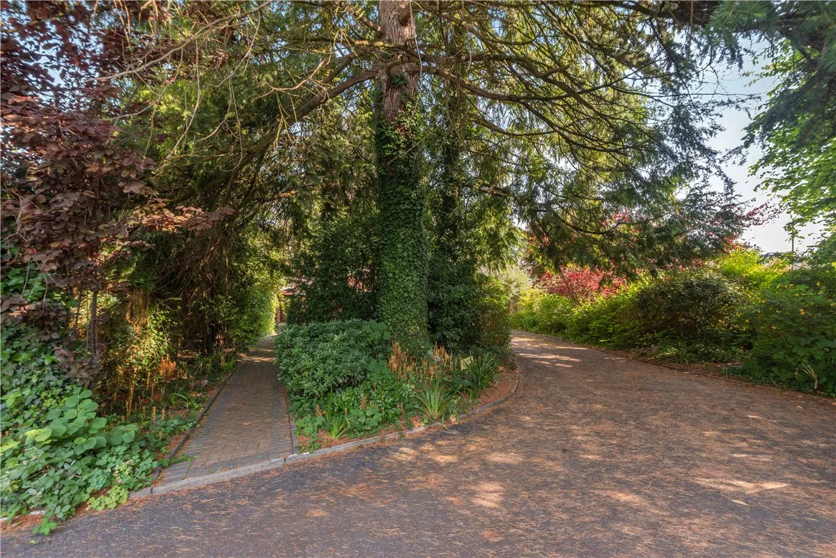 Stockbridge Road, Winchester, SO22, photo 12