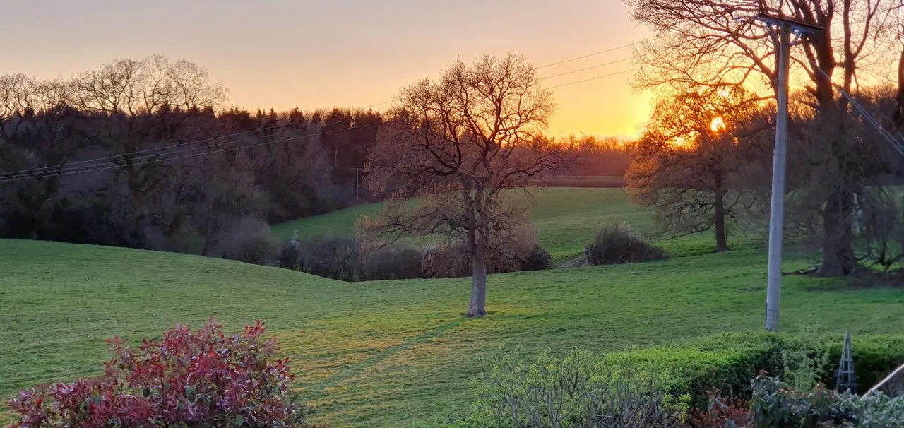 Greyfield Common, High Littleton, BS39, photo 43