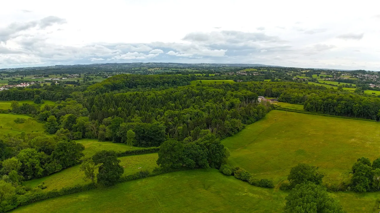 Greyfield Common, High Littleton, BS39, photo 40