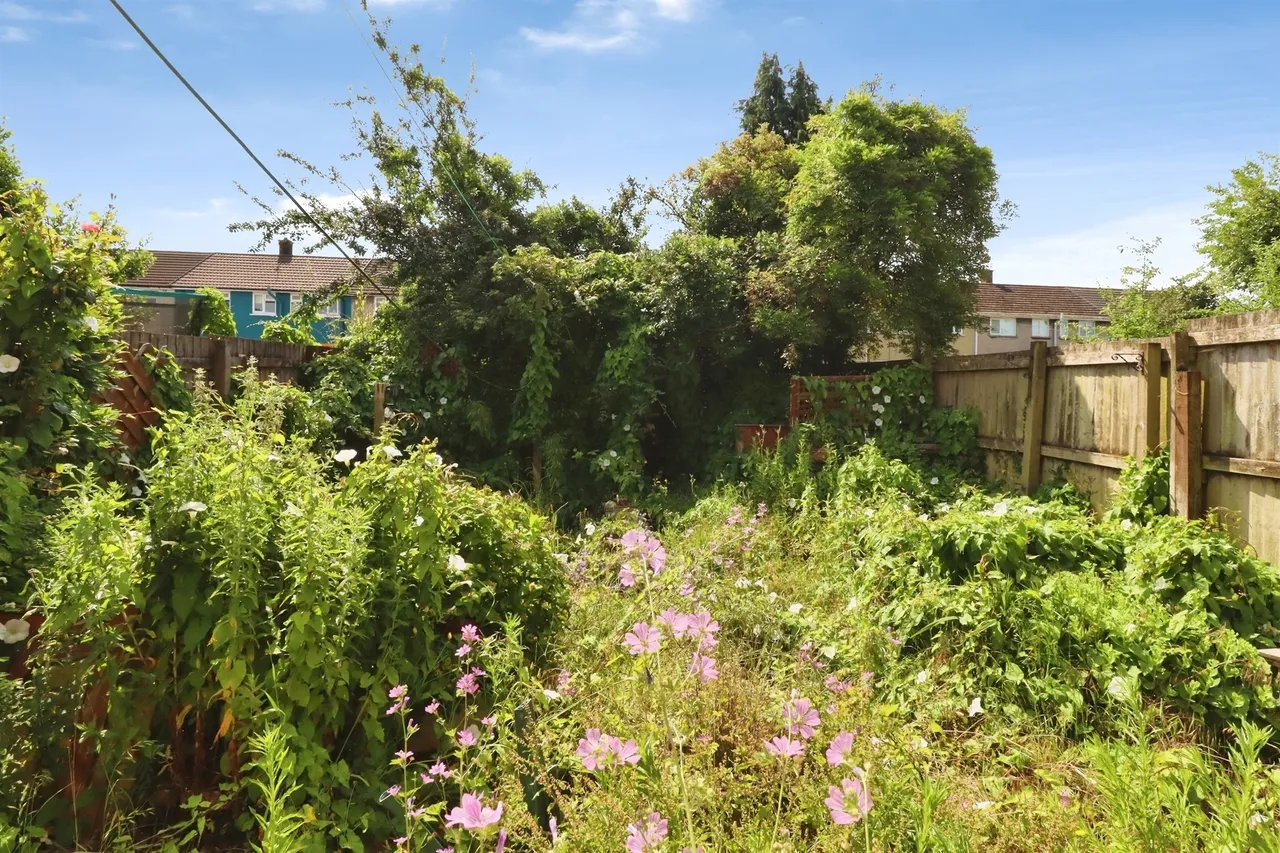 Arnold Avenue, Cardiff, CF3, photo 4