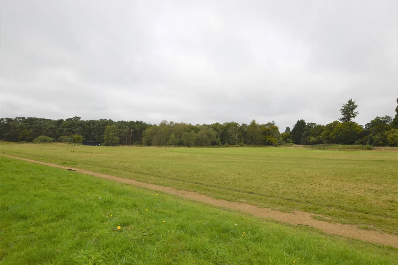 Flanchford Road, Reigate, RH2 8AA, photo 16