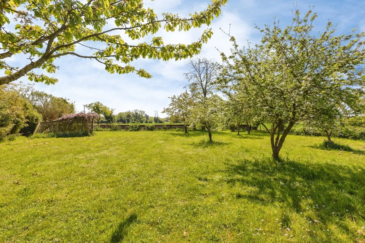 The Moor, Banham, Norwich, Norfolk, NR16, photo 5