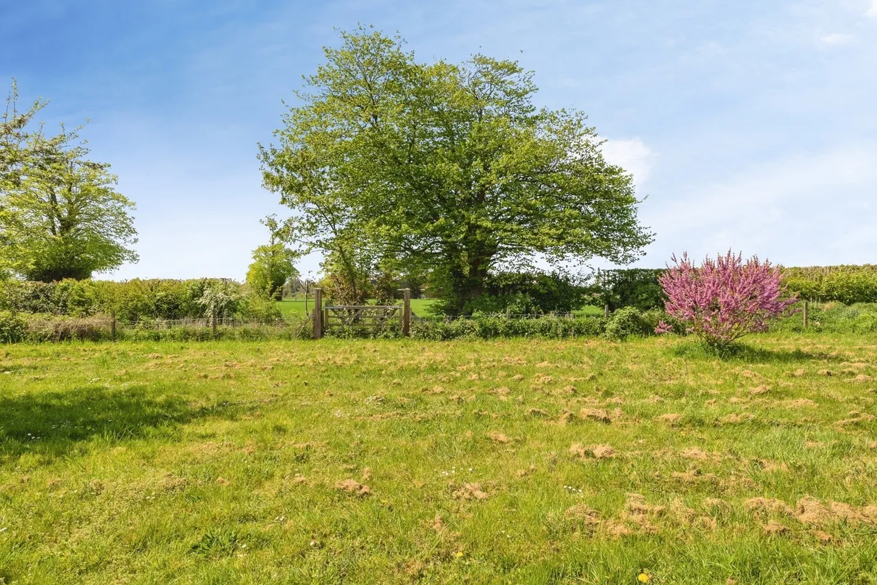 The Moor, Banham, Norwich, Norfolk, NR16, photo 9