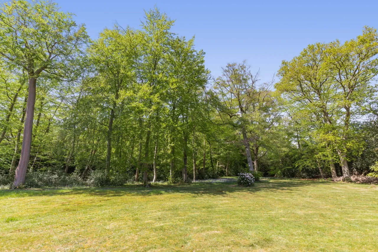 Stoke Wood, Stoke Poges, SL2, photo 24