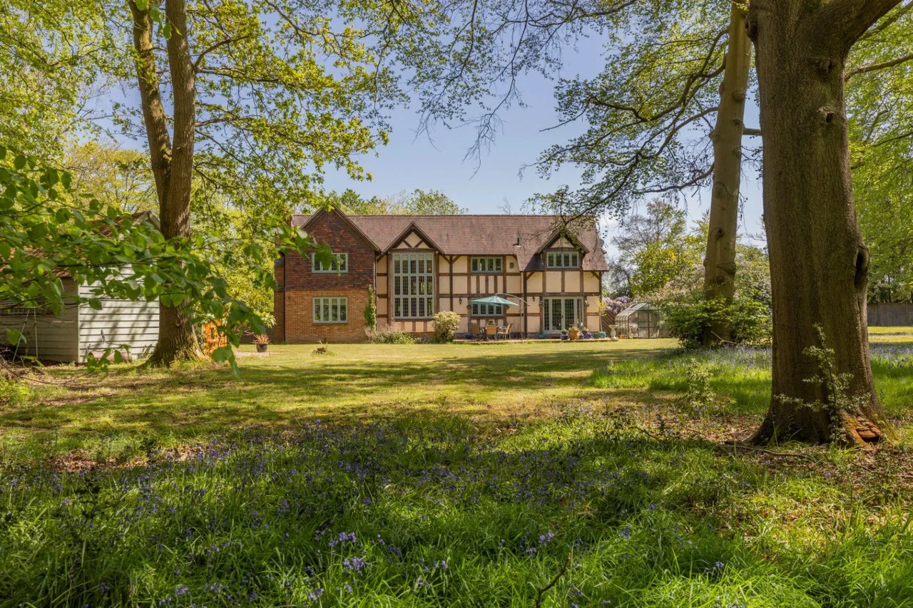 Stoke Wood, Stoke Poges, SL2, photo 4