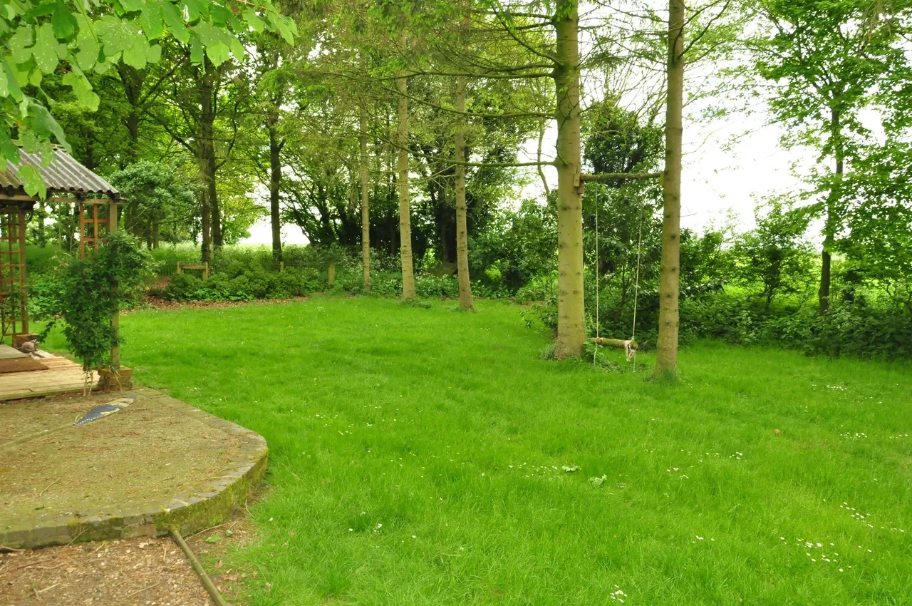 Scoulton Road, Rockland St. Peter, Attleborough, photo 4