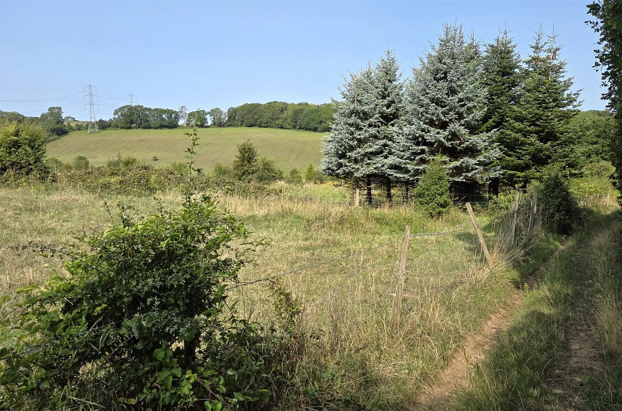 Blackness Lane, Milchden, BR2, photo 2