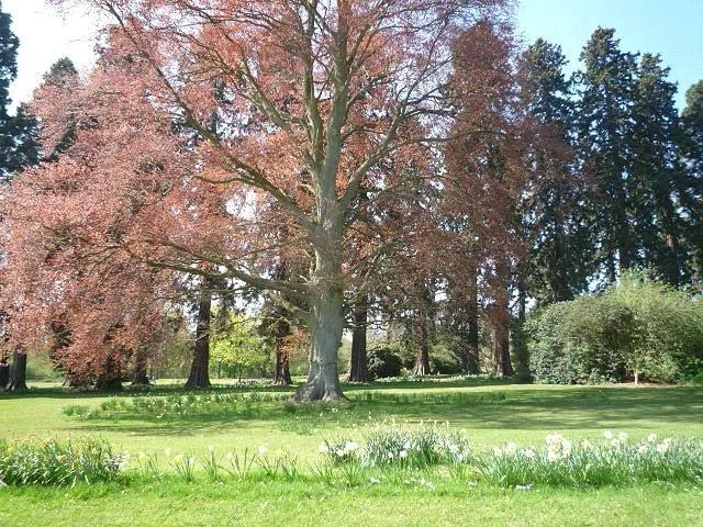 Talfourd Way, Redhill, RH1, photo 4