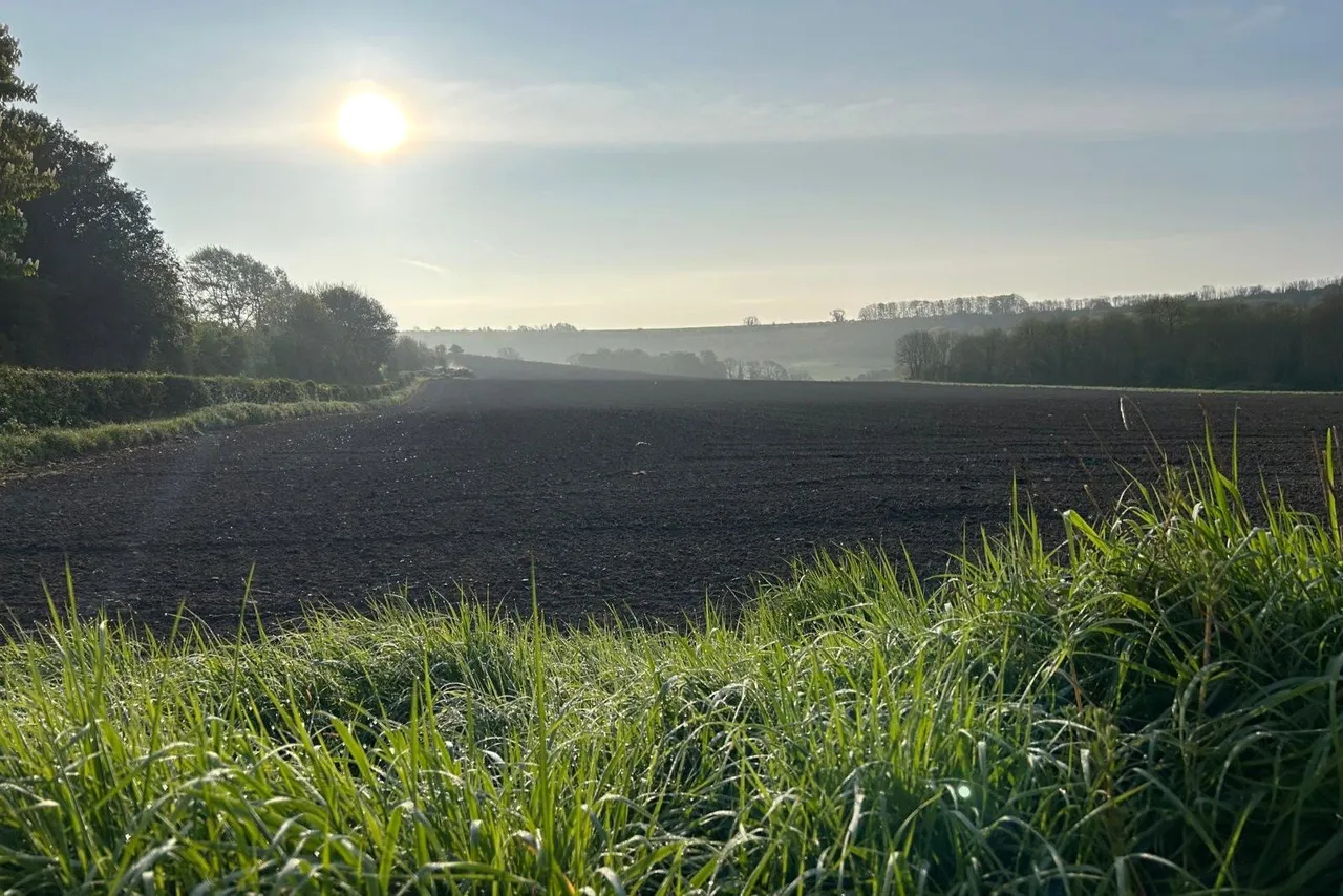 Wellhead Lane, Westbury, photo 13