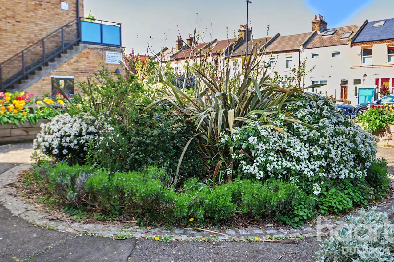 Clive Road, London, SE21, photo 5