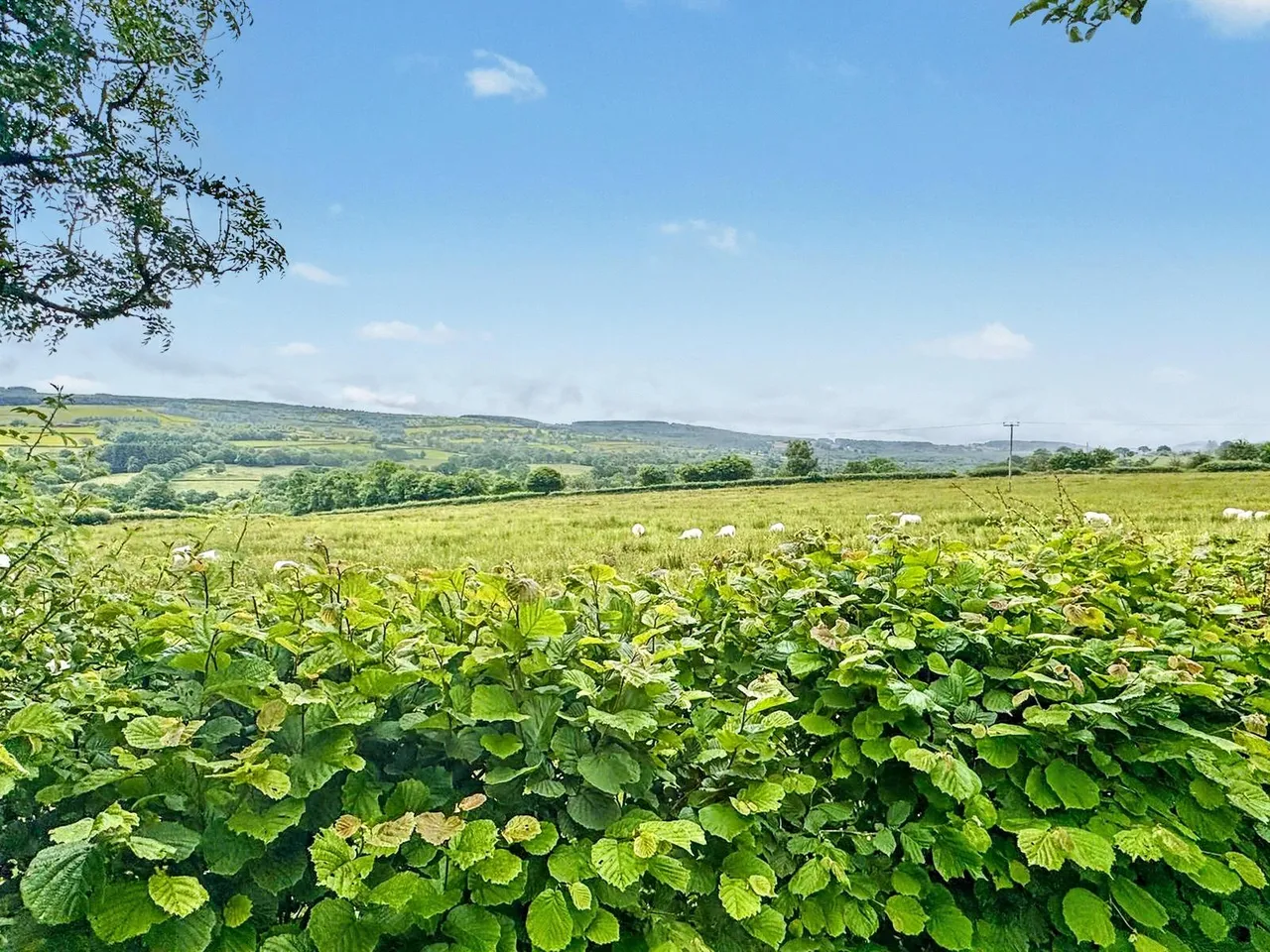 Cefn Gorwydd, Llangammarch Wells, Powys, LD4 4DN, photo 3