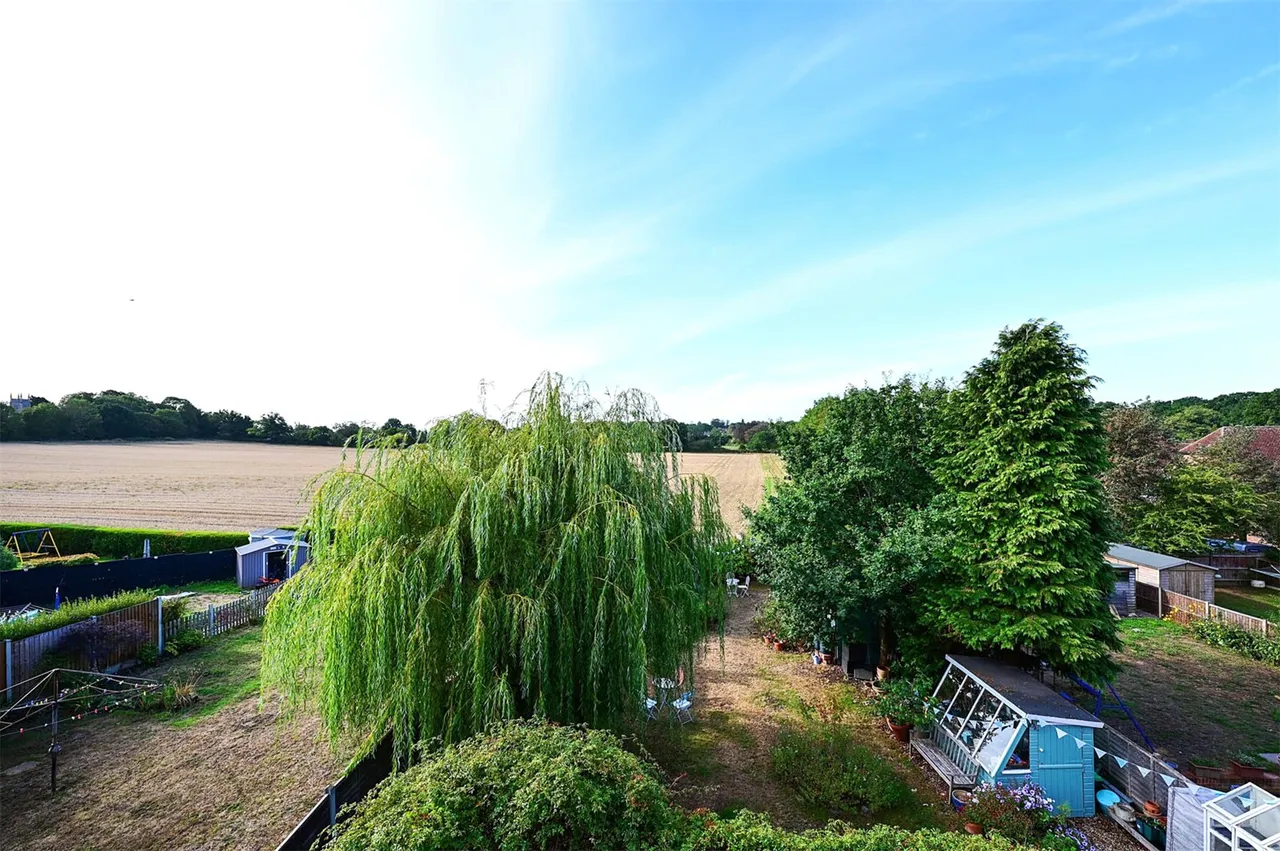 Sandy Lane, Hartley Wintney, Hook, Hampshire, RG27 8DT, photo 12
