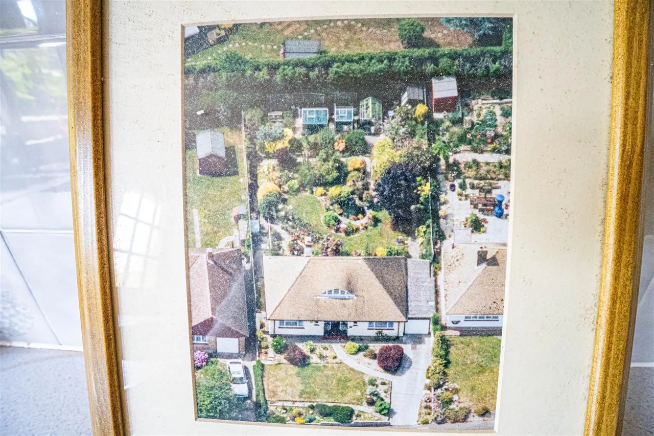 Friars Way, Hastings, photo 22