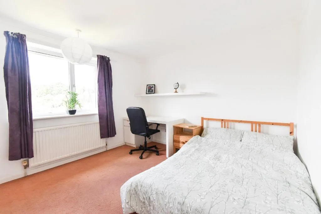 Peckover Road, Norwich, NR4, photo 12