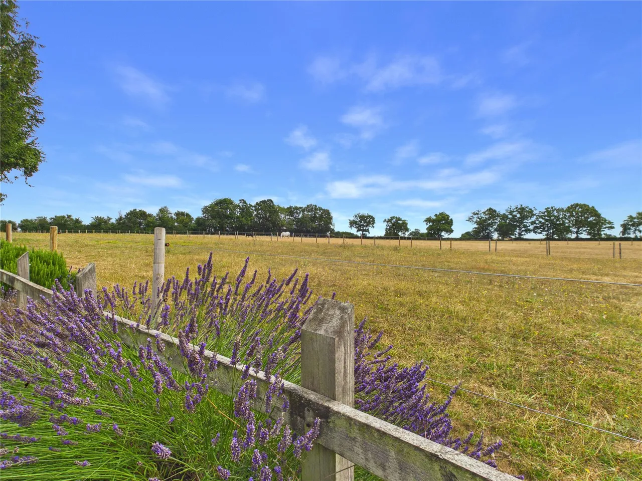 Blacksmiths Lane, Bulmer Tye, CO10, photo 6