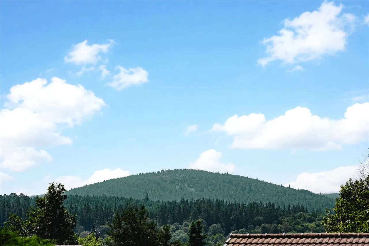 Allachlade Court, Aboyne, AB34, photo 19