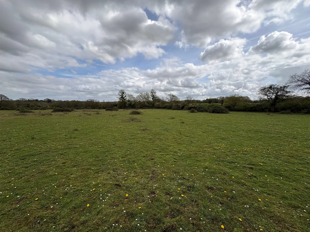 Foxhole, Saxlingham Thorpe, Norwich, photo 2
