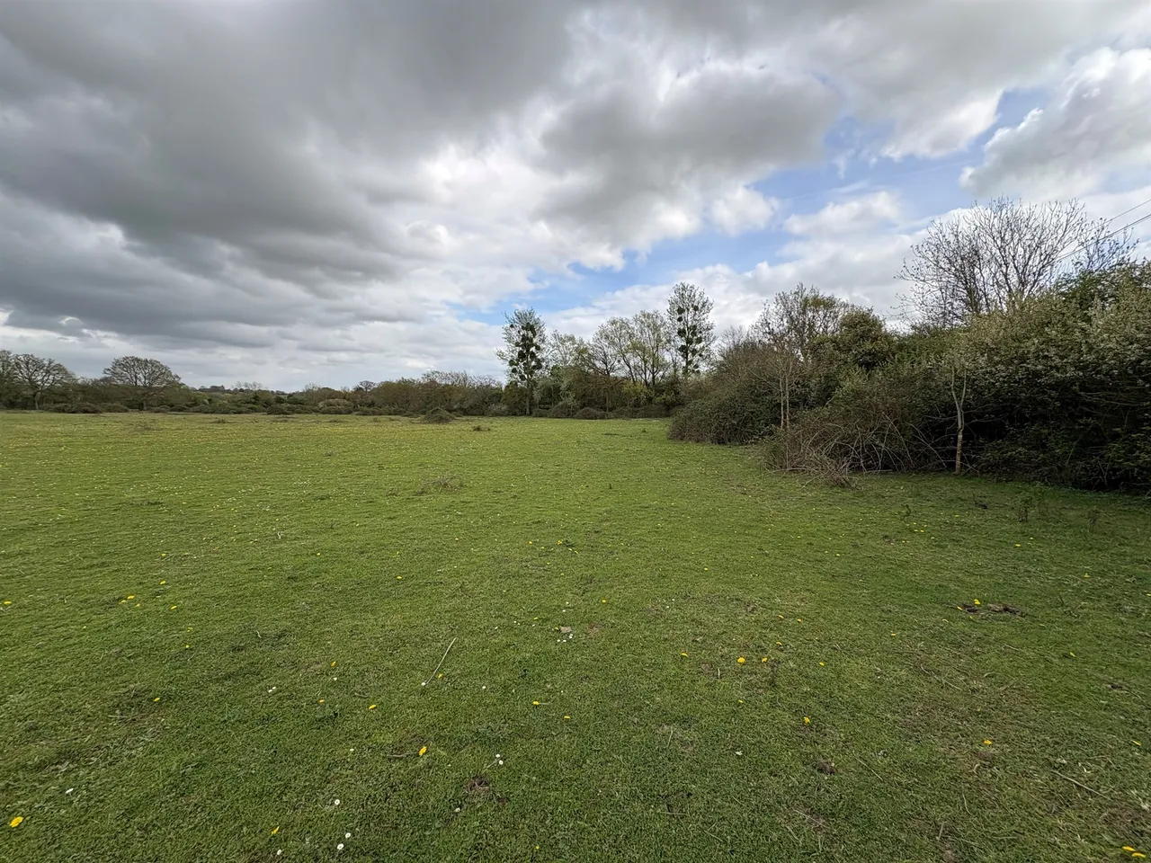 Foxhole, Saxlingham Thorpe, Norwich, photo 4