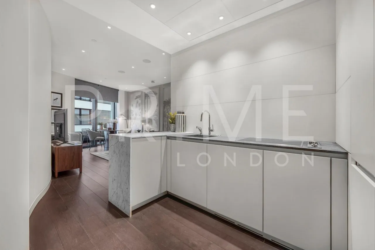 Millbank, Westminster, SW1P, photo 7