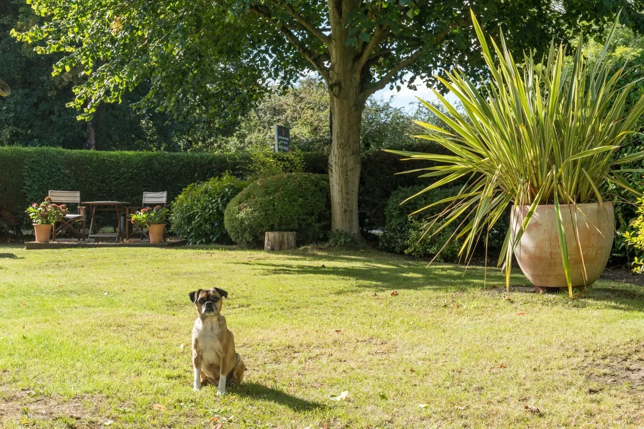 Waterhouse Lane, Ardleigh, CO7, photo 34